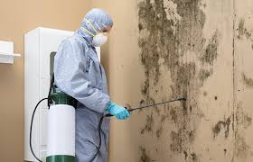 Best Residential Mold Inspection & Testing  in Stonebridge, NJ